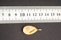 Seashell pendant shown beside a ruler for scale with gold-plated sterling silver bail and hammered bezel.