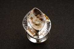 Front close-up of Ammonite fossil shell in a hammered sterling silver ring with warm brass soldered details.