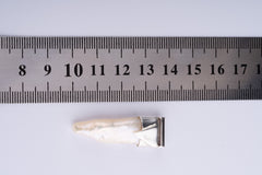 White Pearl Pendant Necklace: 925 Sterling Silver, June Birthstone