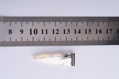 White Pearl Pendant Necklace: 925 Sterling Silver, June Birthstone