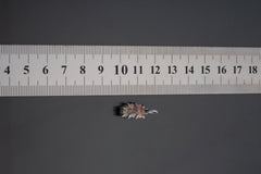 Watermelon Tourmaline Pendant: Oxidized Sterling Silver Claw Setting