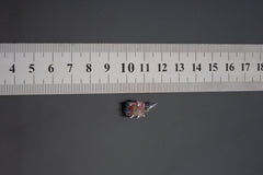 Watermelon Tourmaline pendant shown beside ruler for scale with 1.5cm pink-green crystal in oxidized silver claw setting.