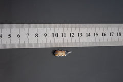 Olive Green Tourmaline Pendant: Oxidized Sterling Silver Claw Setting