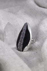 Natural fossil adjustable ring in high-shine 925 sterling silver shown on soft fabric with a dark ancient earth centrepiece.