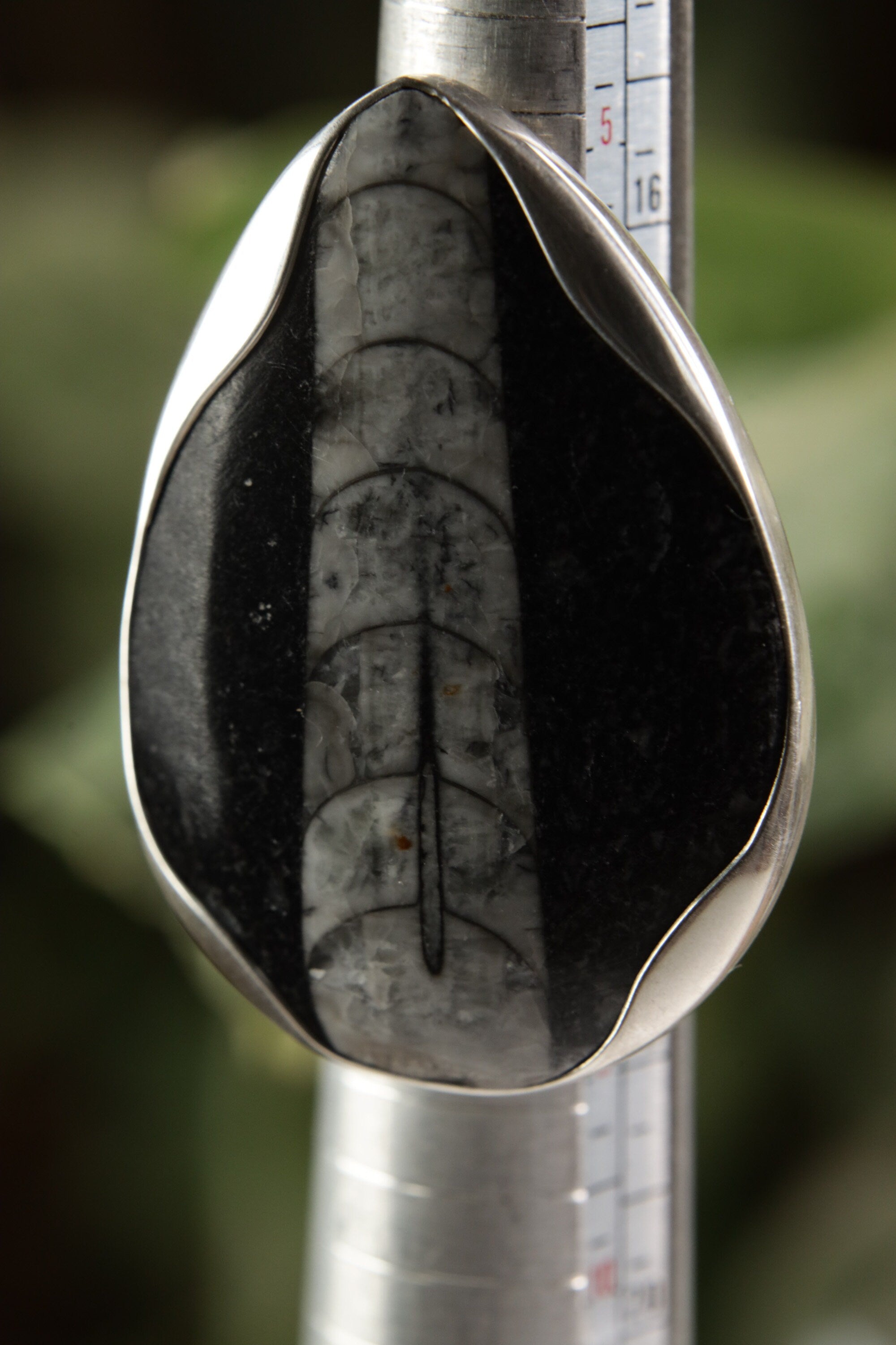 Close-up of Ancient Earth Fossil Ring showing organic fossil surface detail and waved sterling silver bezel setting.