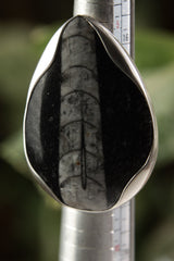 Close-up of Ancient Earth Fossil Ring showing organic fossil surface detail and waved sterling silver bezel setting.