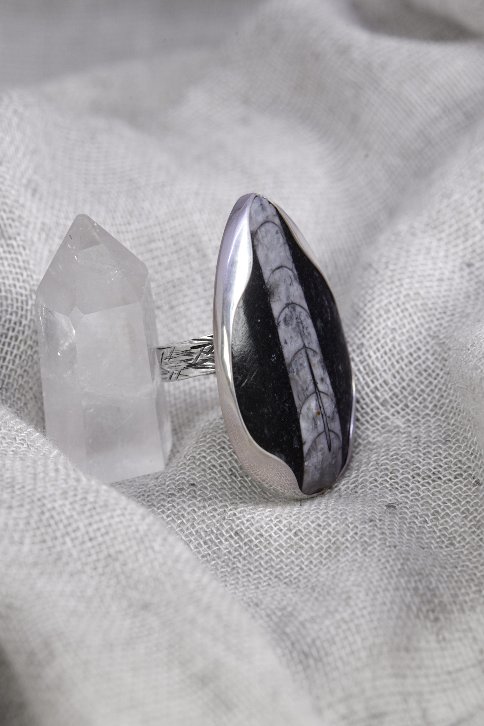 Ancient Earth fossil ring shown on soft fabric, with waved bezel setting and textured sterling silver band.