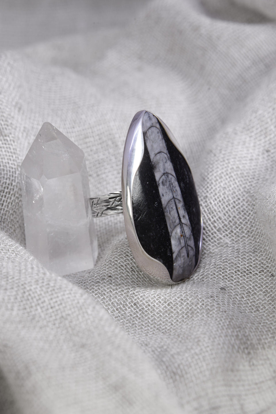 Ancient Earth fossil ring shown on soft fabric, with waved bezel setting and textured sterling silver band.