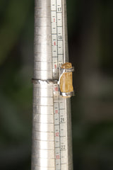 Natural Amber sterling silver ring shown on a mandrel for size reference, appearing around US size 9.5 to 10.