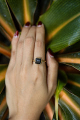 Black Tourmaline Ring: Gold Plated Sterling Silver, Size 7 1/2