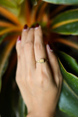 Gold-plated Pyrite ring shown worn on the hand, with a square metallic stone and warm handmade silver band.