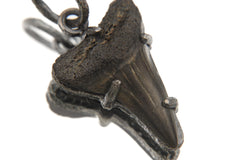 Megalodon Tooth Fossil Pendant, Oxidized Sterling Silver Claw Setting