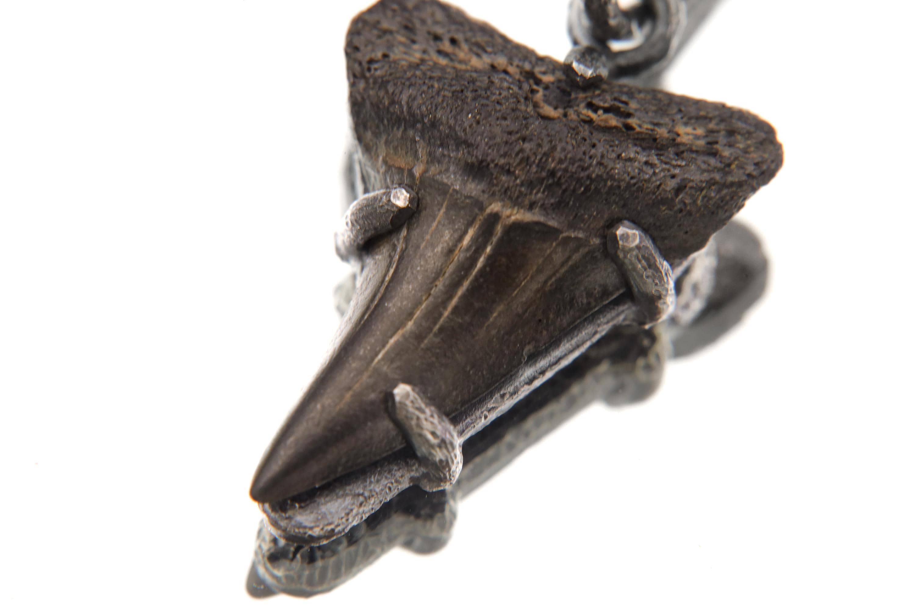 Megalodon Tooth Fossil Pendant, Oxidized Sterling Silver Claw Setting