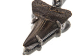 Megalodon Tooth Fossil Pendant, Oxidized Sterling Silver Claw Setting