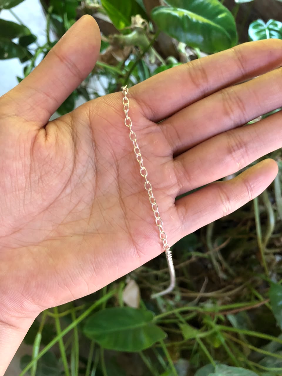 Nicola chain