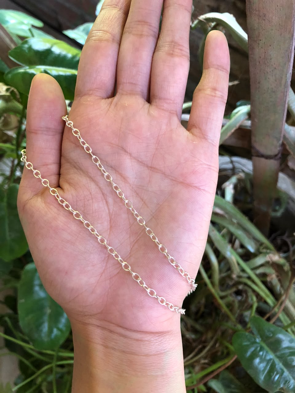 Nicola chain