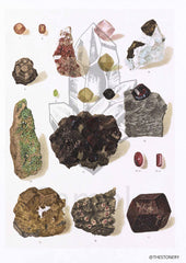 Garnet Crystal Mineral High Resolution Digital Image 300 DPI Vintage Antique watercolour Illustration Print Poster, Wall Art
