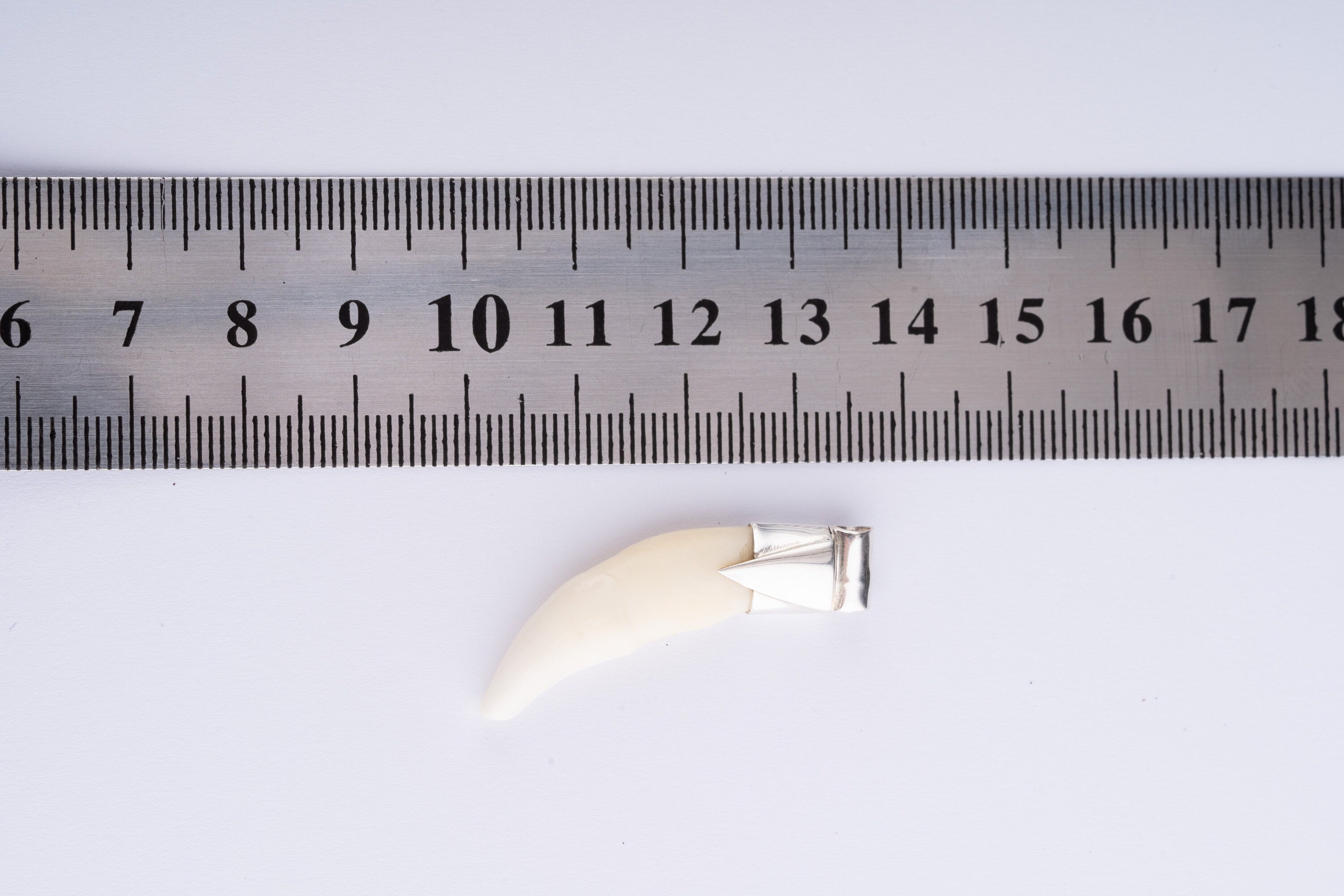 Ancient Carnivora Tooth Stack Pendant, Sterling Silver, Root Chakra, Scorpio Zodiac, Protection & Strength, Unique Gift