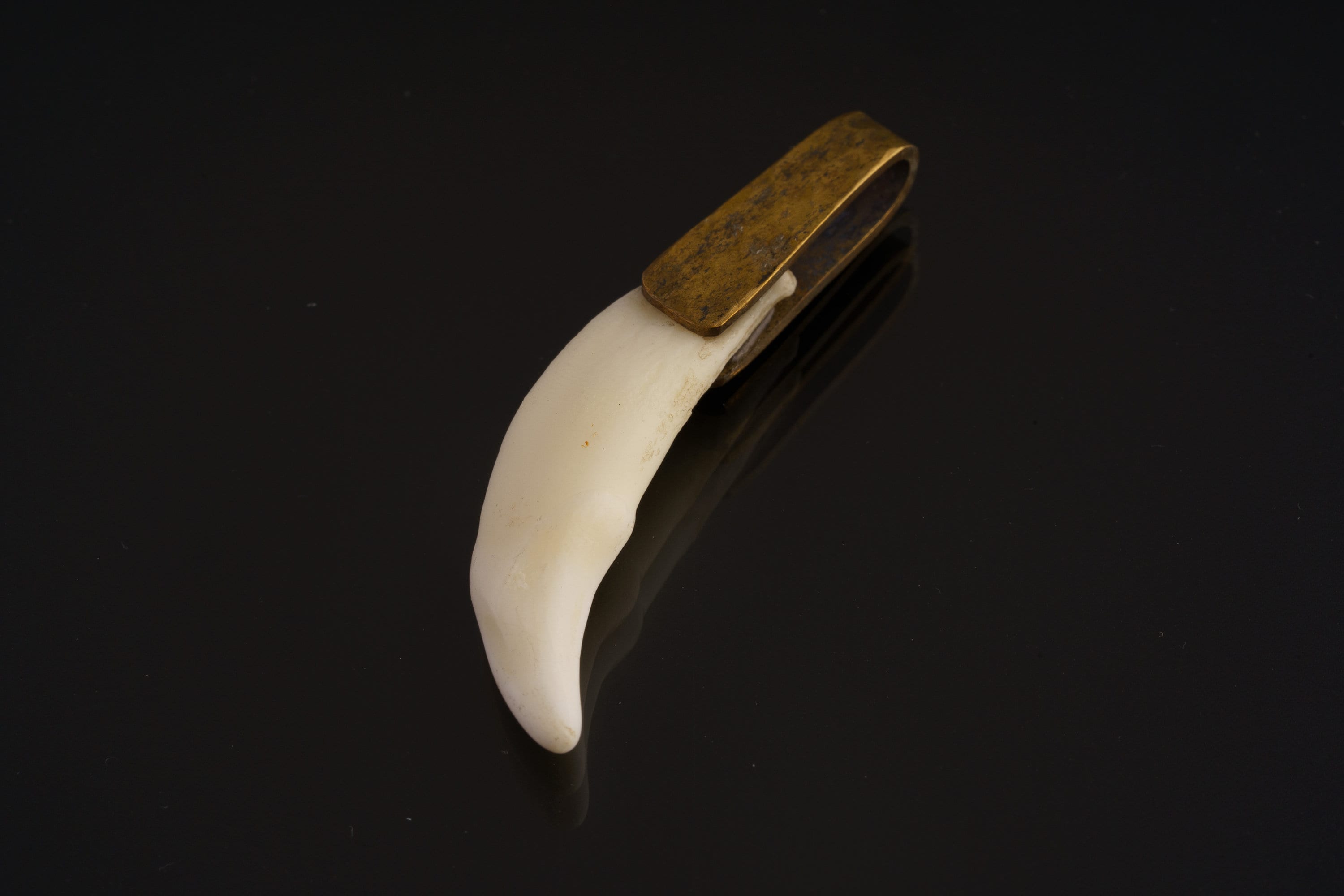 Antique tooth pendant shown worn by a model, with gold-plated brass bail and raw tribal-inspired talisman shape.