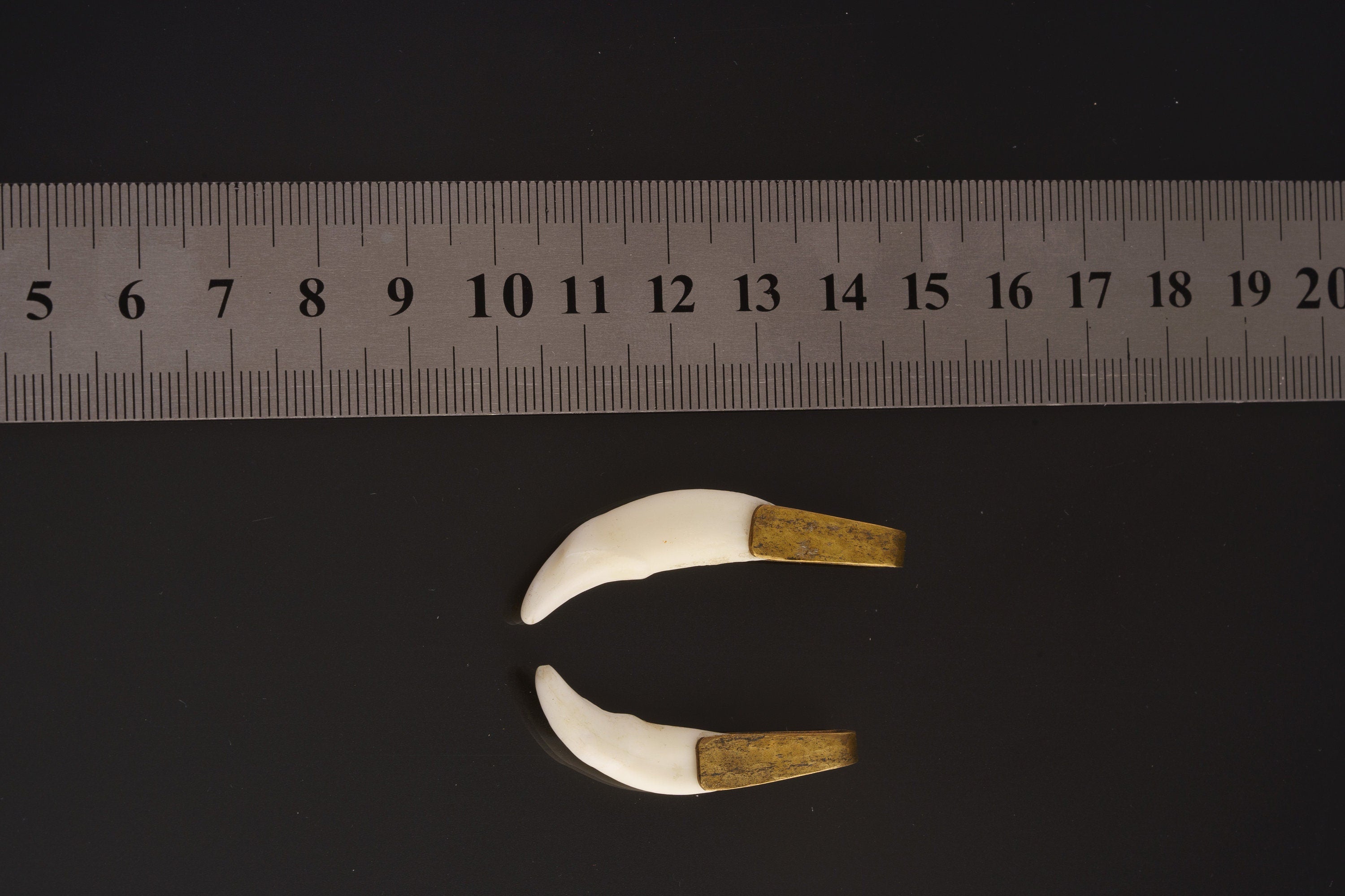 Antique tooth pendant shown beside a ruler for scale, measuring approximately 3.5 to 4 cm total length including bail.