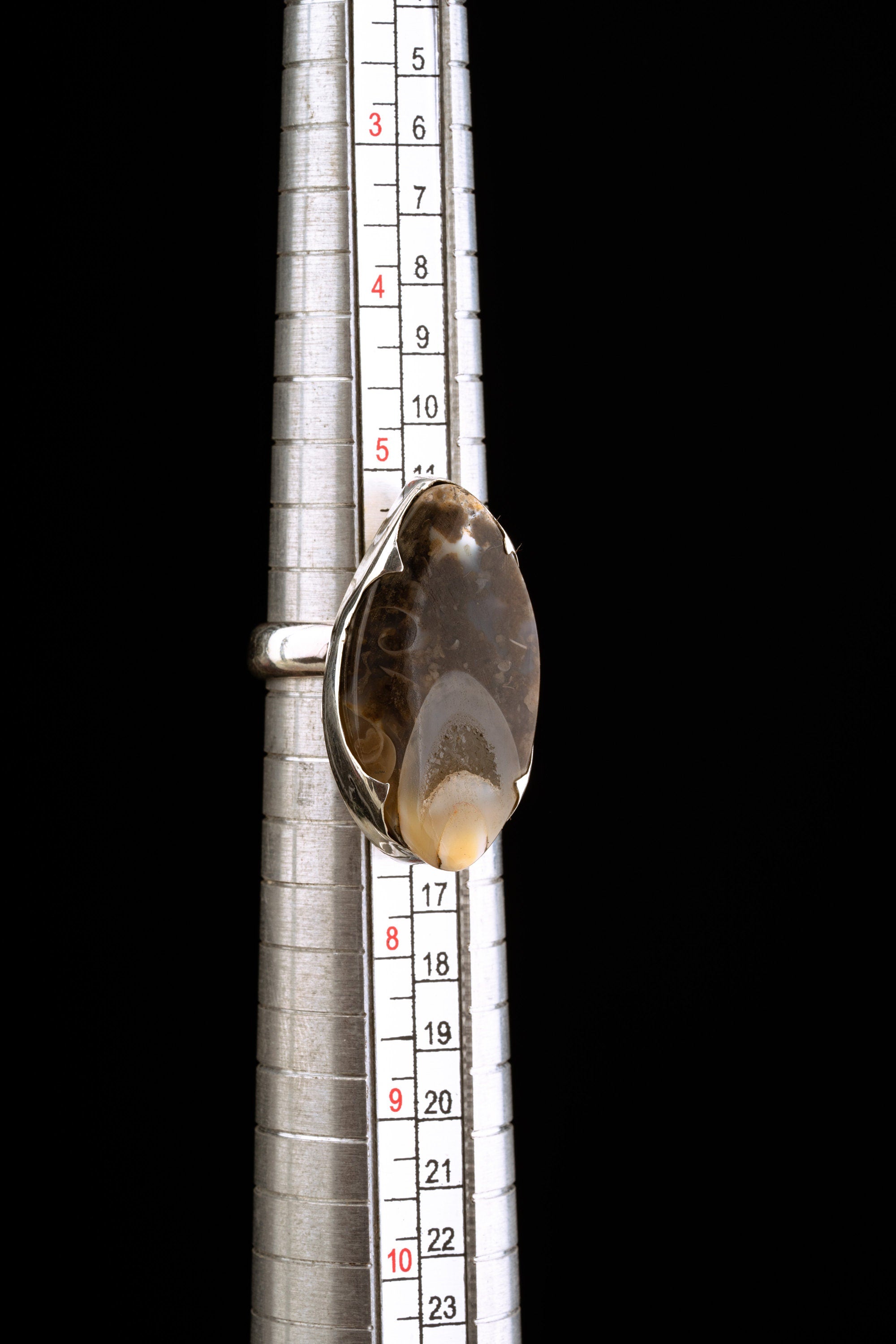 Crystalized shell ring shown on ring mandrel with adjustable sizing from approximately US 5 to US 12.