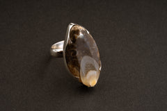 Ancient Crystallized Shell Unisex Adjustable Ring, Size 5-12 US, Large Sterling Silver, Protection and Connection to Earth, Unique Gift