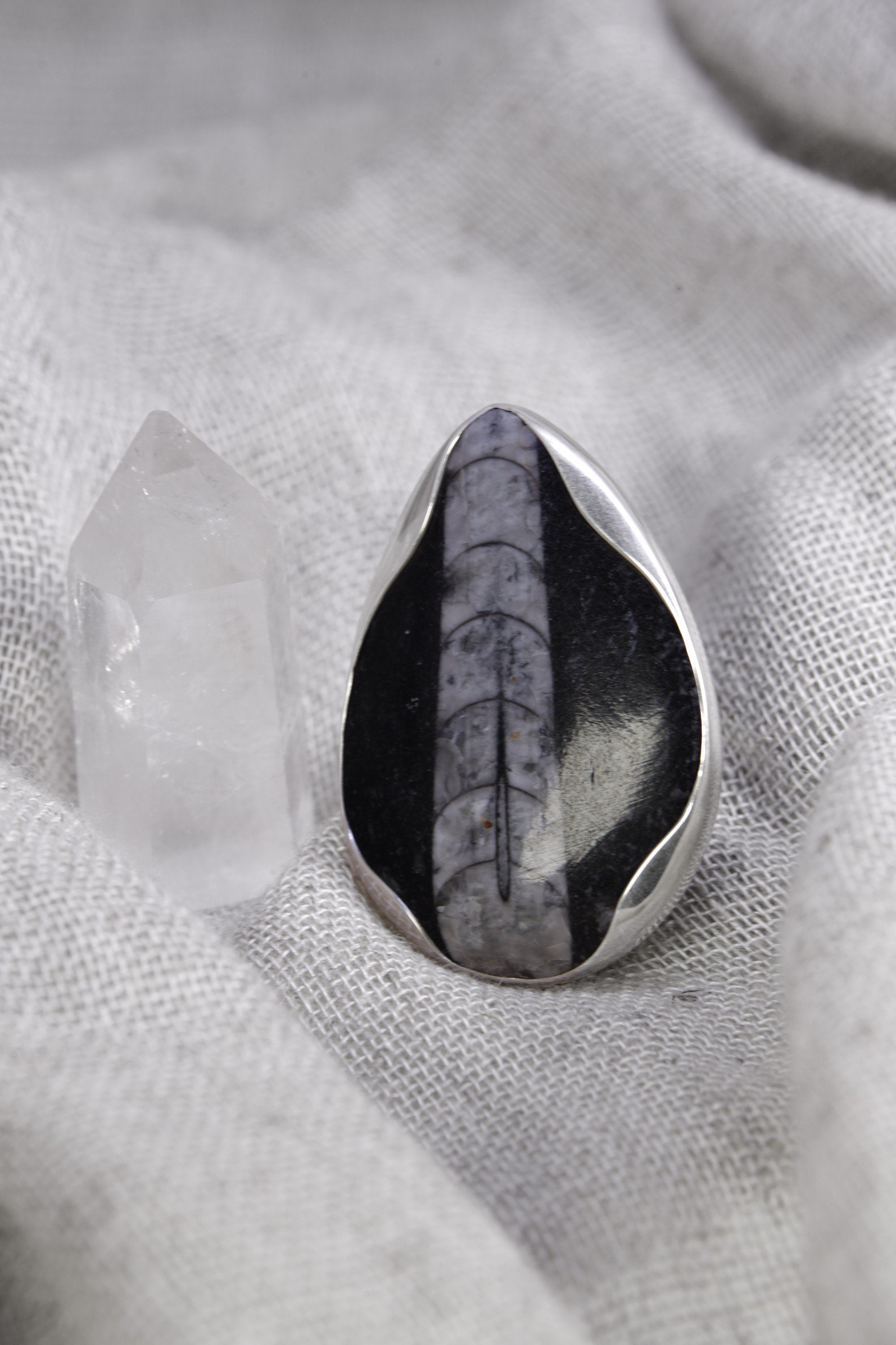 Fossil Ring 925 Sterling Silver Adjustable Textured Band Waved Bezel Root Chakra Ancient Earth Jewelry Gift