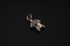 Blue Moonstone Starfish Hoop Earring Pendant 925 Silver Convertible Ocean Charm Crown Third Eye Chakra Jewelry