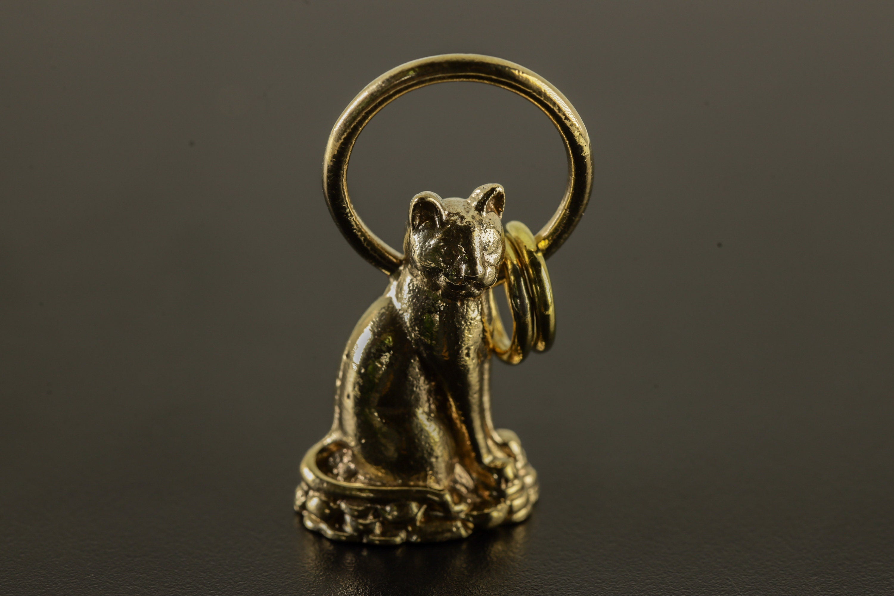 Cast Necklace Featuring Golden Majestic Cat Charm, Gold Plated Brass Talisman, Symbolic Pendant Accessory for Luck and Cat Lovers