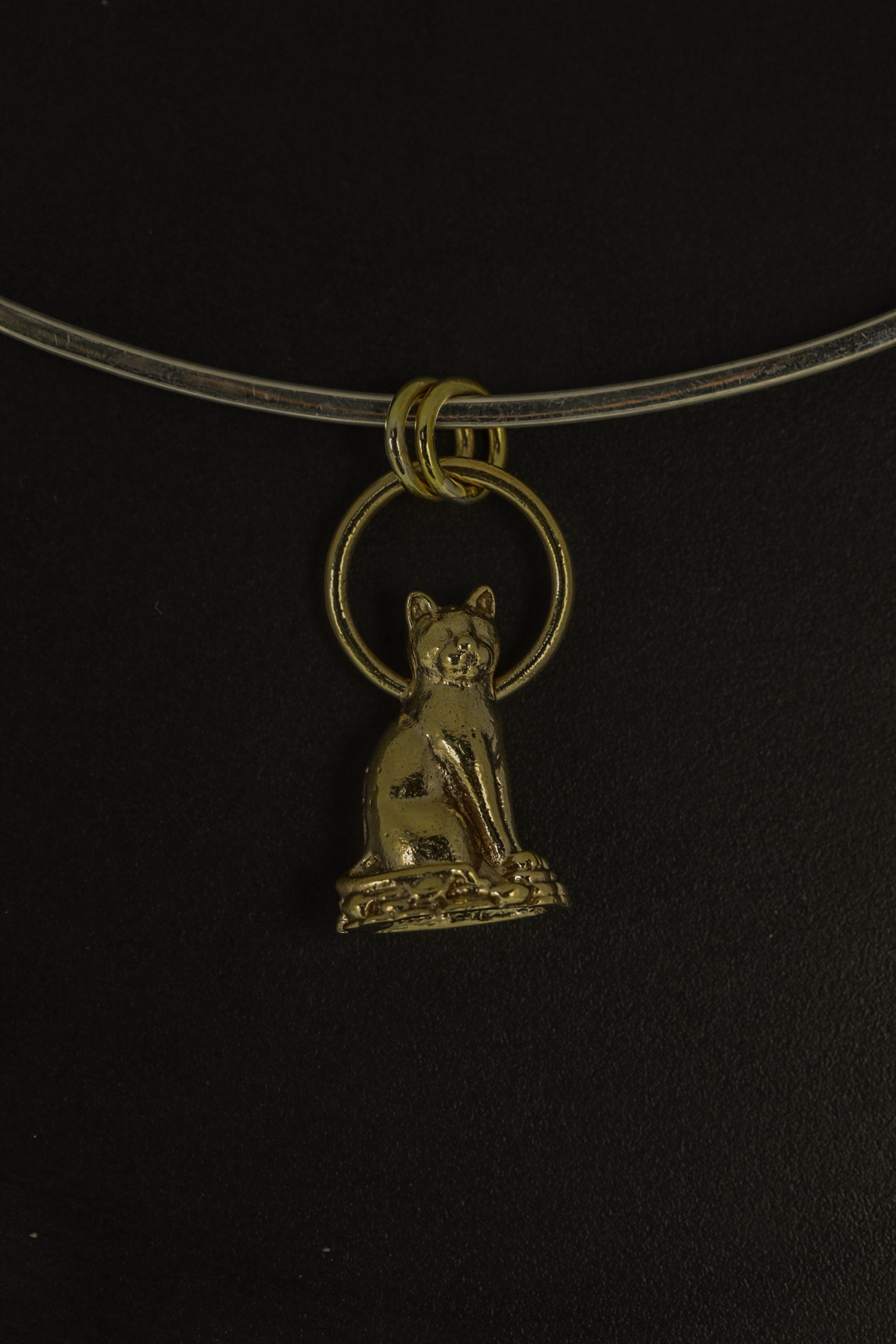 Cast Necklace Featuring Golden Majestic Cat Charm, Gold Plated Brass Talisman, Symbolic Pendant Accessory for Luck and Cat Lovers