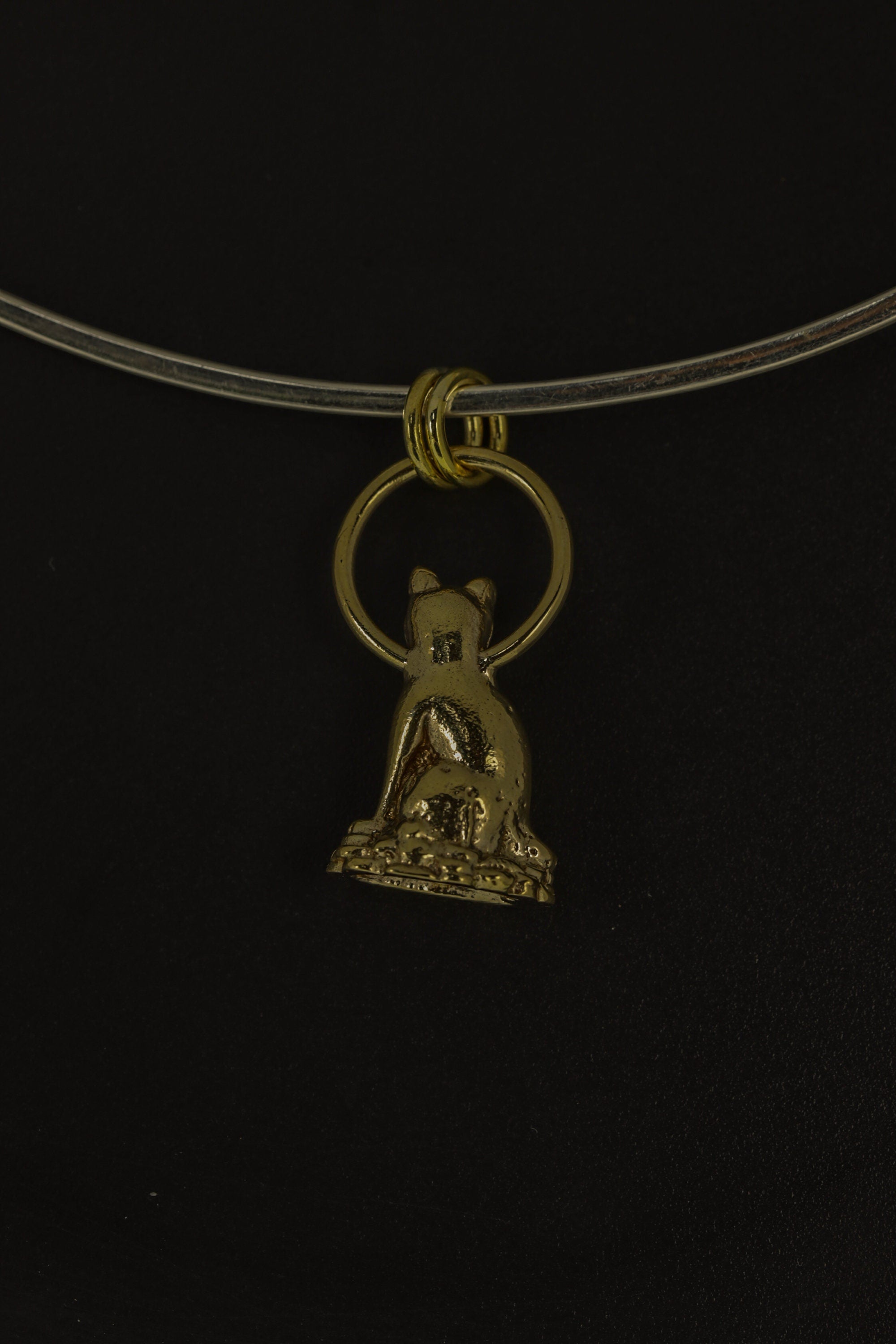 Cast Necklace Featuring Golden Majestic Cat Charm, Gold Plated Brass Talisman, Symbolic Pendant Accessory for Luck and Cat Lovers