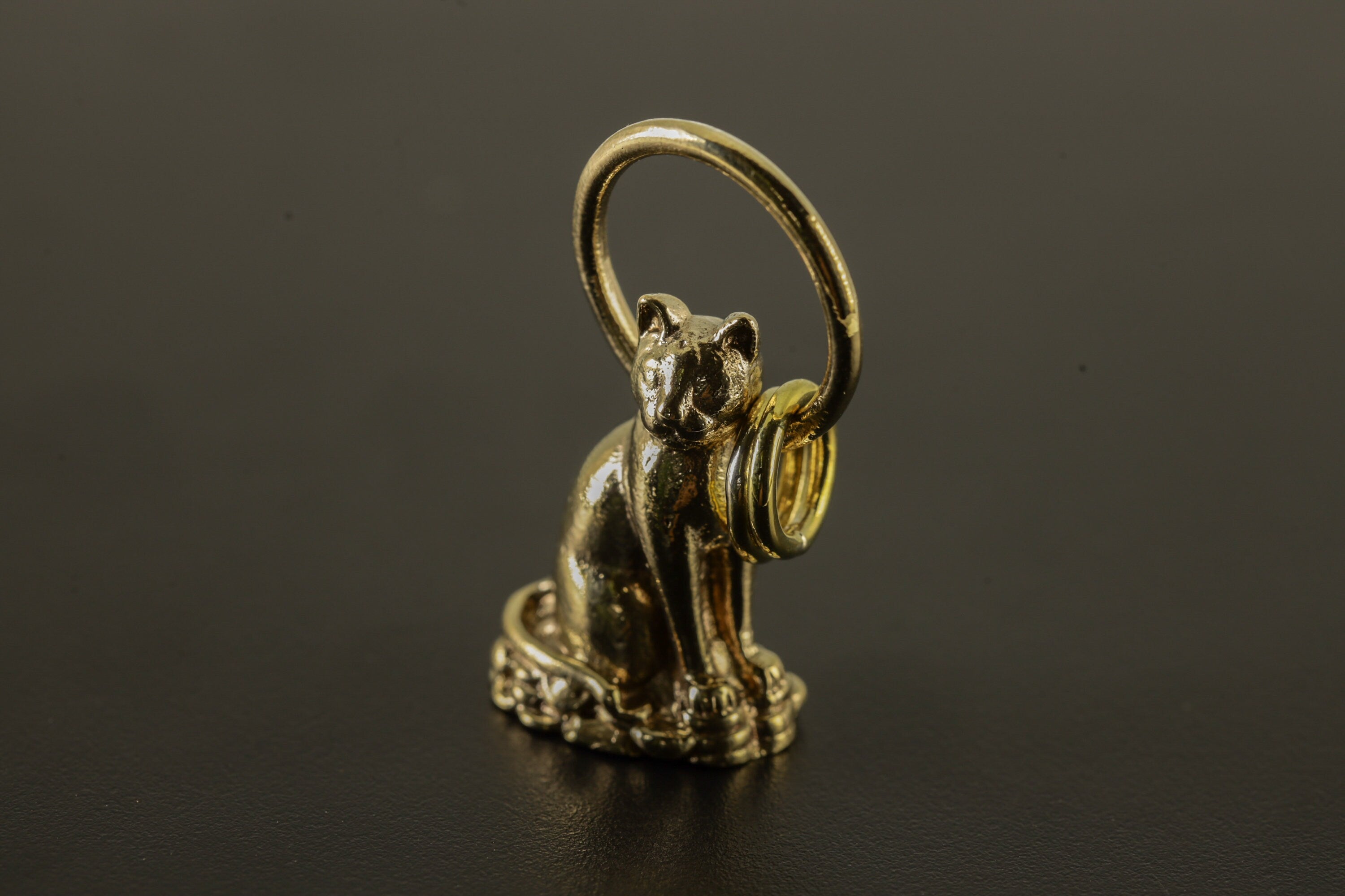 Cast Necklace Featuring Golden Majestic Cat Charm, Gold Plated Brass Talisman, Symbolic Pendant Accessory for Luck and Cat Lovers