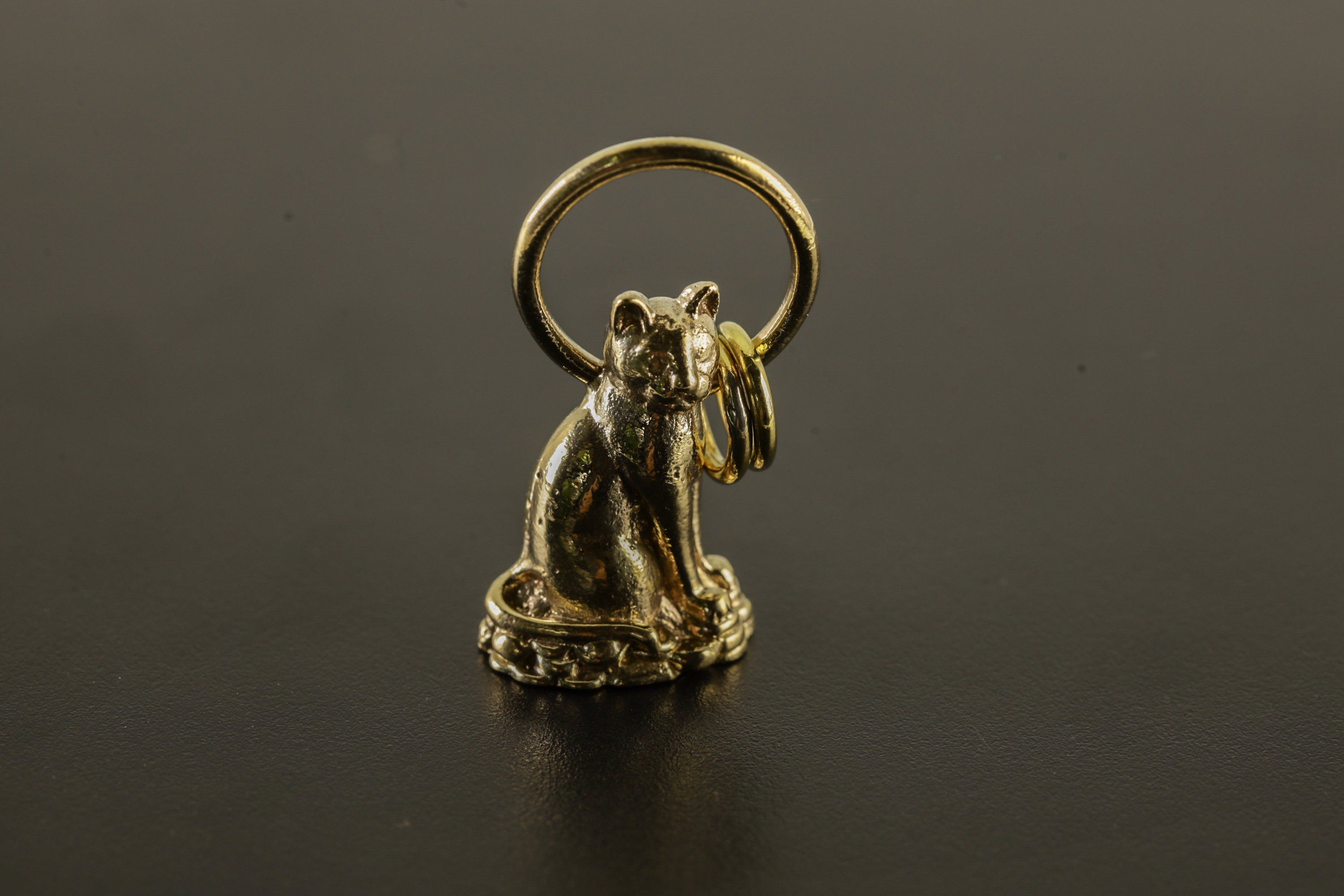 Cast Necklace Featuring Golden Majestic Cat Charm, Gold Plated Brass Talisman, Symbolic Pendant Accessory for Luck and Cat Lovers