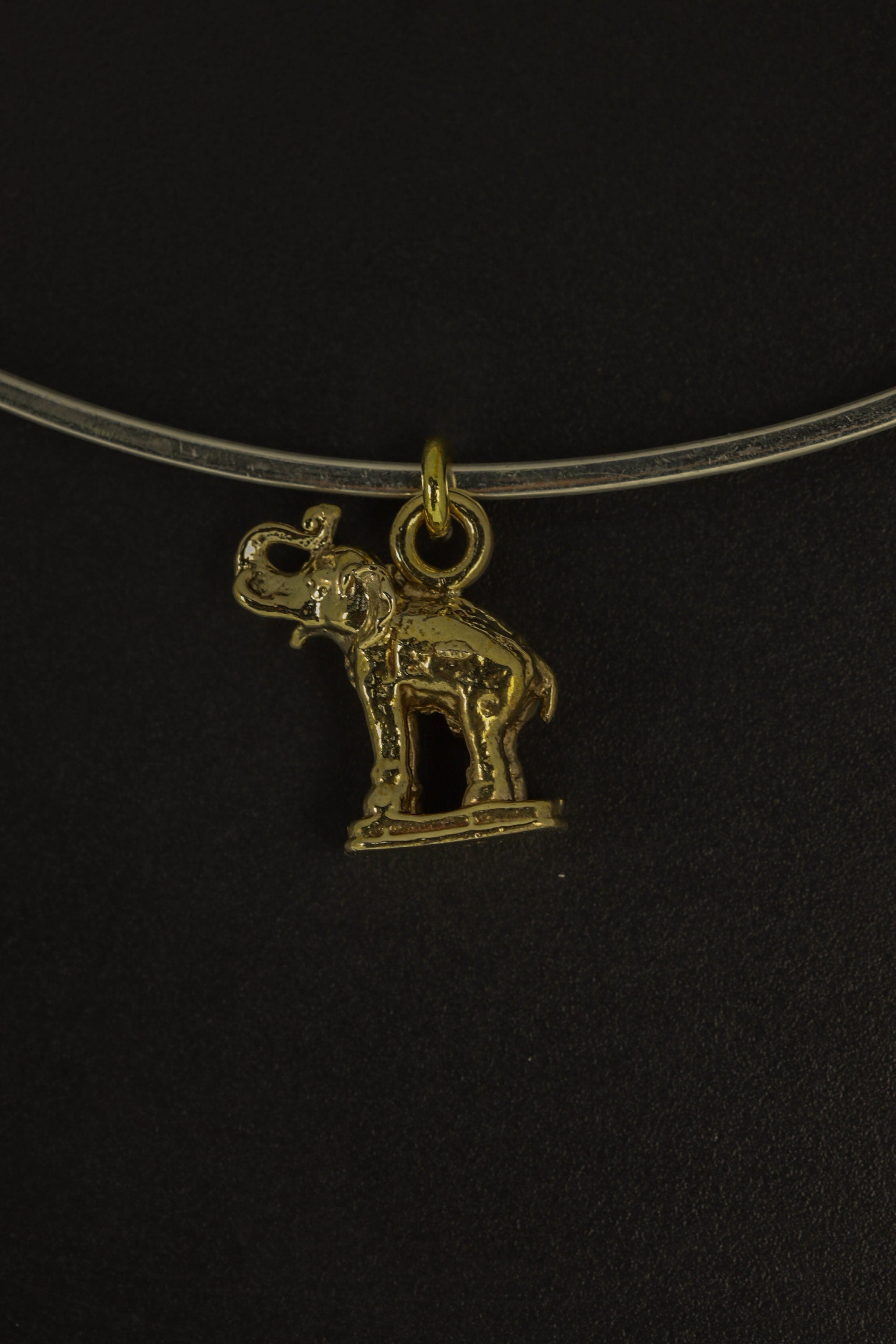 Aurelian Tusker Elephant Amulet, Gold Plated Brass Cast Charm, Animal Pendant Necklace, Spiritual Talisman for Protection and Wisdom