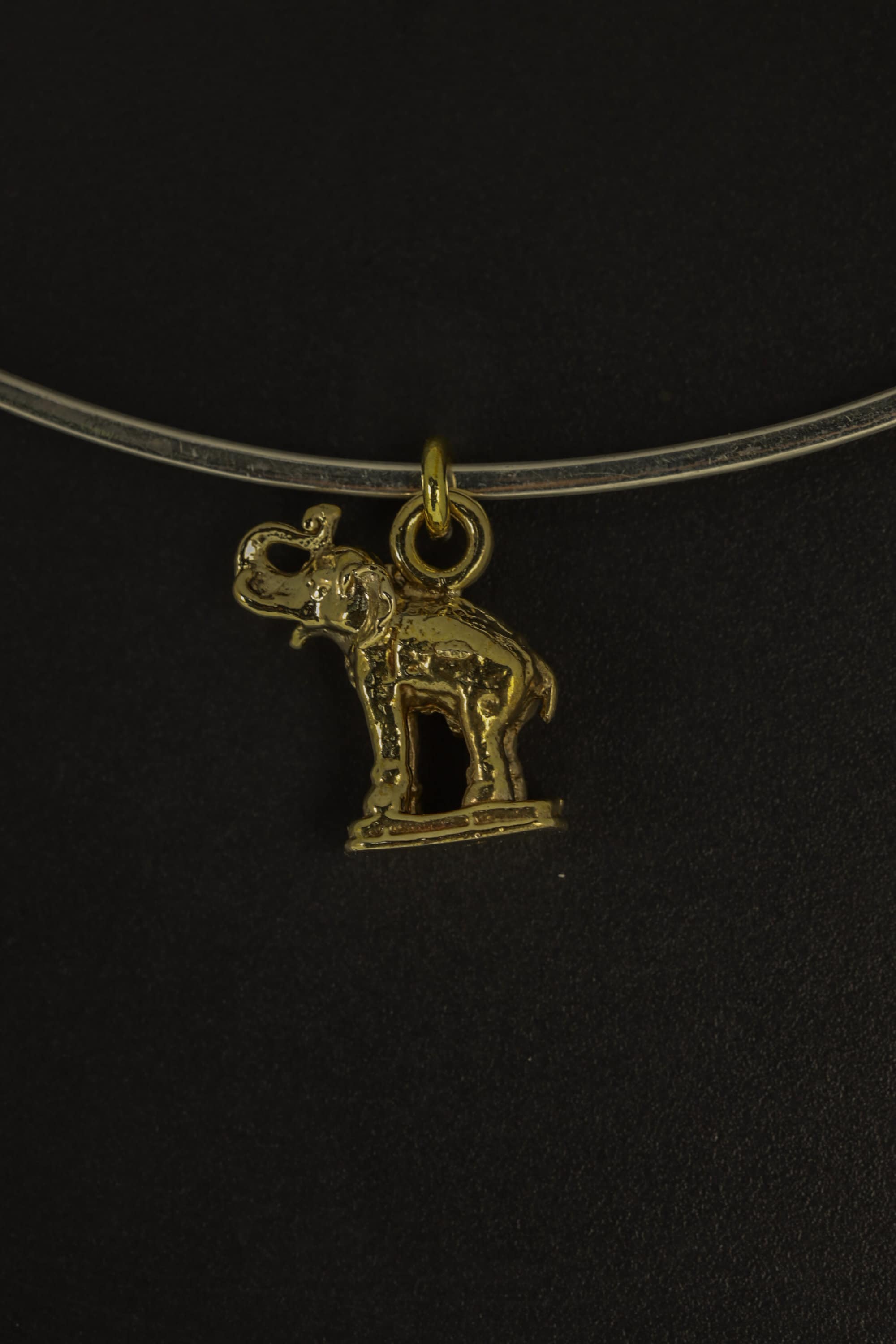 Aurelian Tusker Amulet - Gold Plated Brass Cast - Pendant Necklace