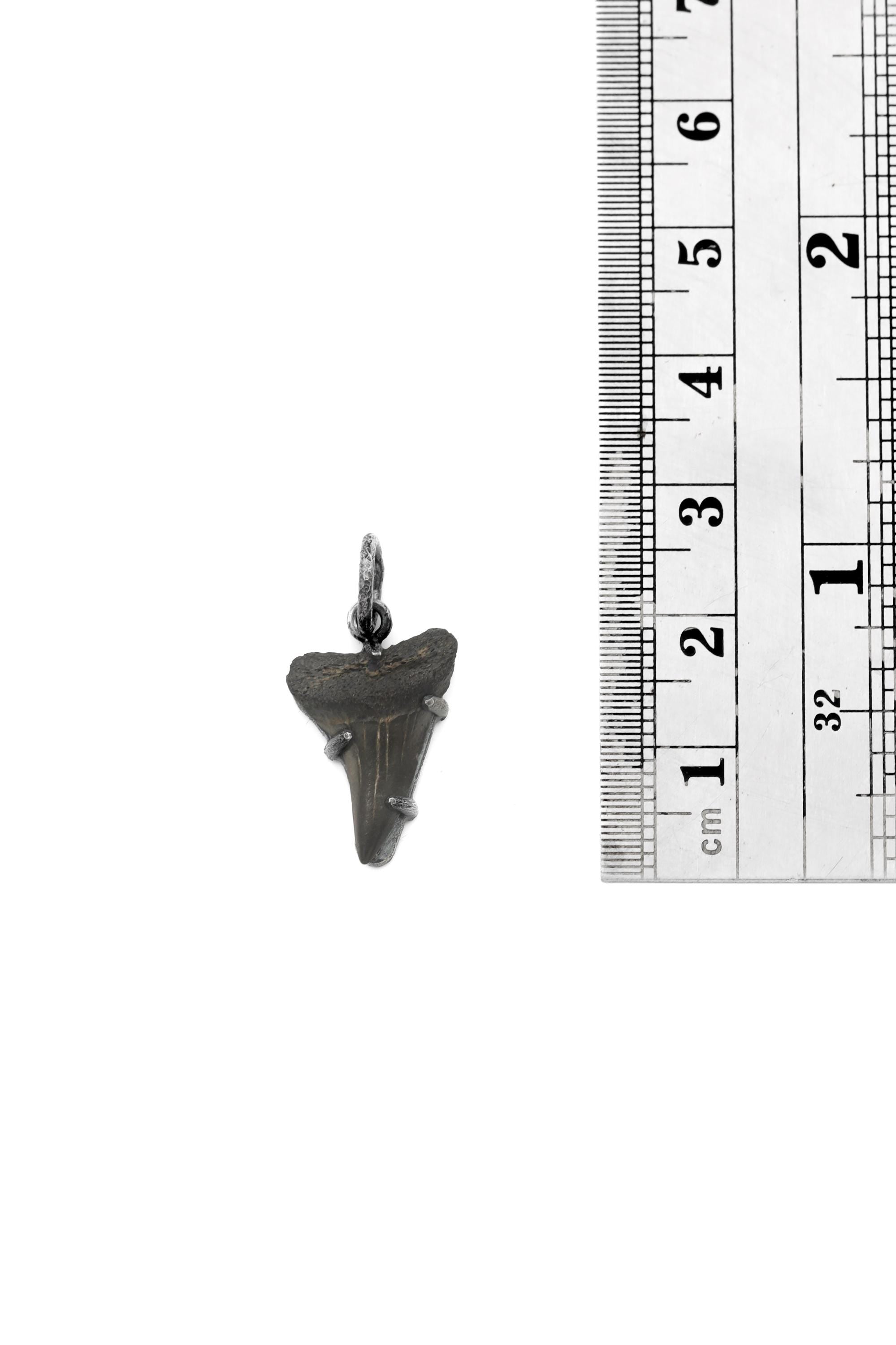 Megalodon Tooth Petrified Fossil Specimen Pendant, Sterling Silver Claw Setting, Oxidized Hammer Finish, Unique Fossil Jewelry Gift