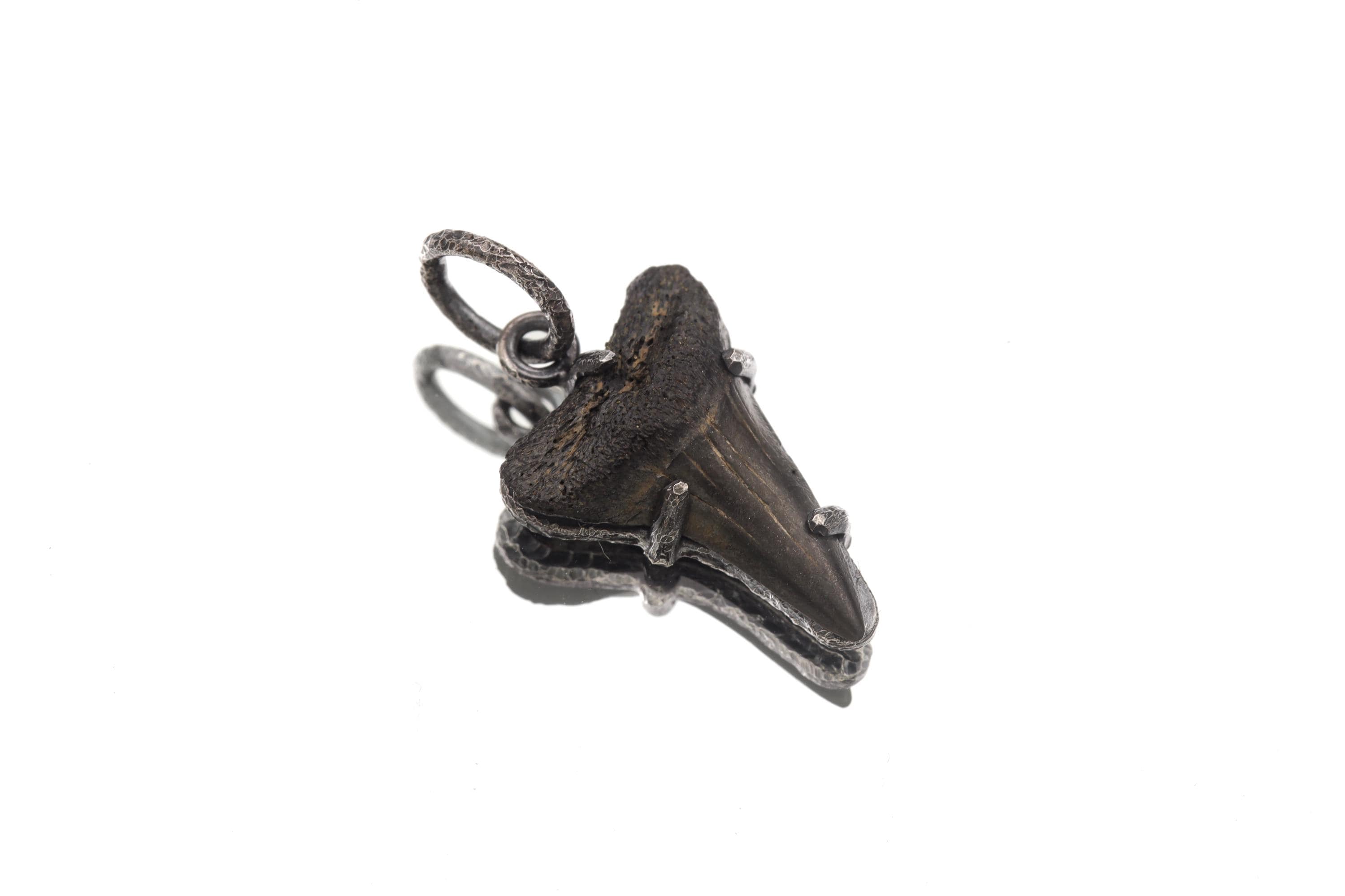 Megalodon Tooth Petrified Fossil Specimen Pendant, Sterling Silver Claw Setting, Oxidized Hammer Finish, Unique Fossil Jewelry Gift