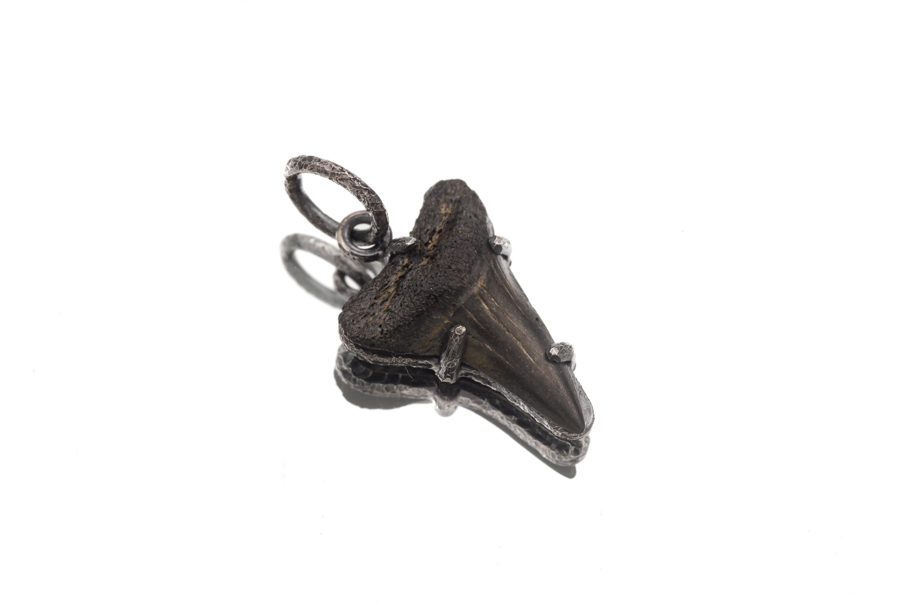 Megalodon Tooth Fossil Pendant 925 Sterling Silver Oxidized Claw Necklace Root Chakra Protection Gift