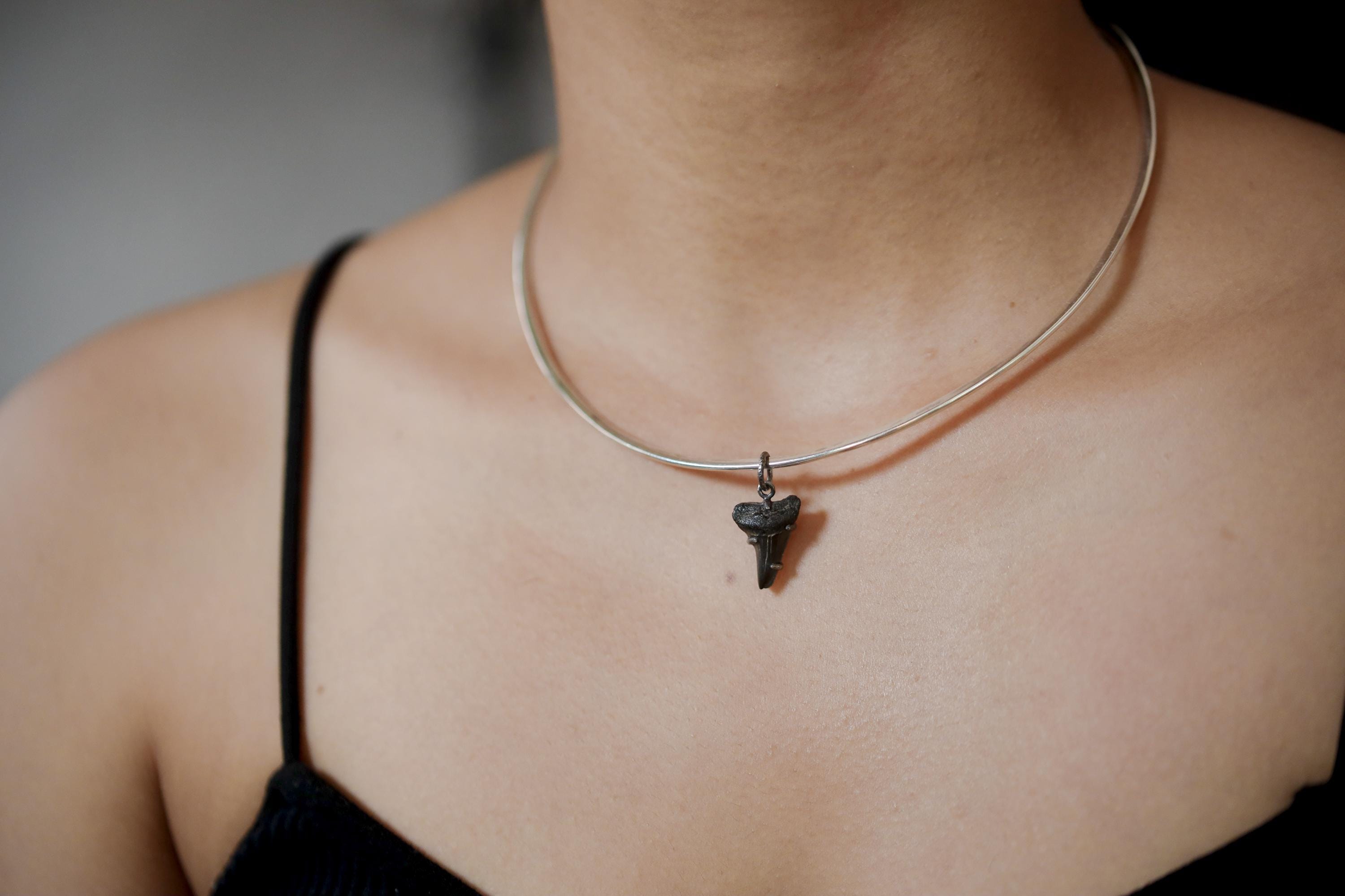 Megalodon Tooth Fossil Pendant, Oxidized Sterling Silver Claw Setting