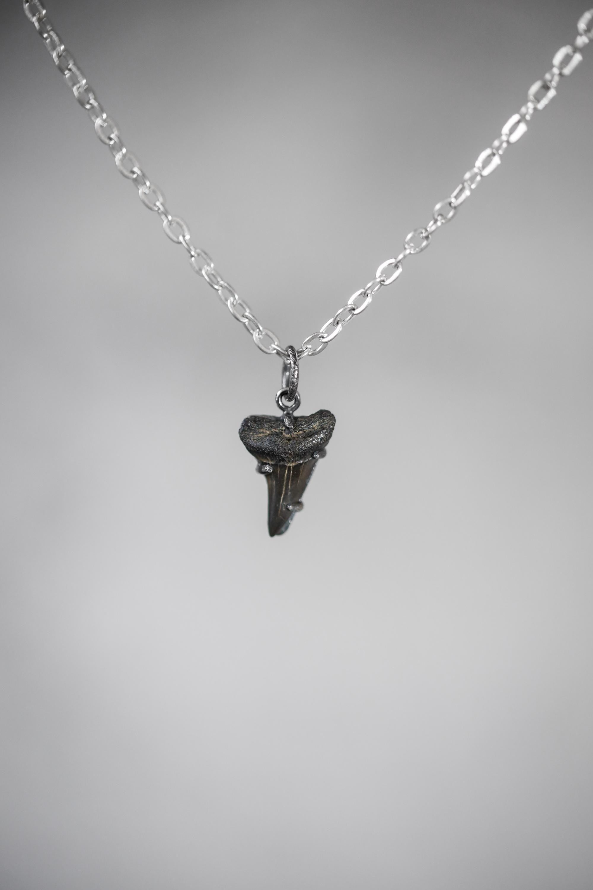 Megalodon Tooth Petrified Fossil Specimen Pendant, Sterling Silver Claw Setting, Oxidized Hammer Finish, Unique Fossil Jewelry Gift