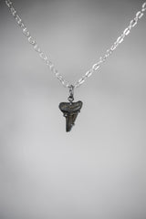 Megalodon Tooth Petrified Fossil Specimen Pendant, Sterling Silver Claw Setting, Oxidized Hammer Finish, Unique Fossil Jewelry Gift