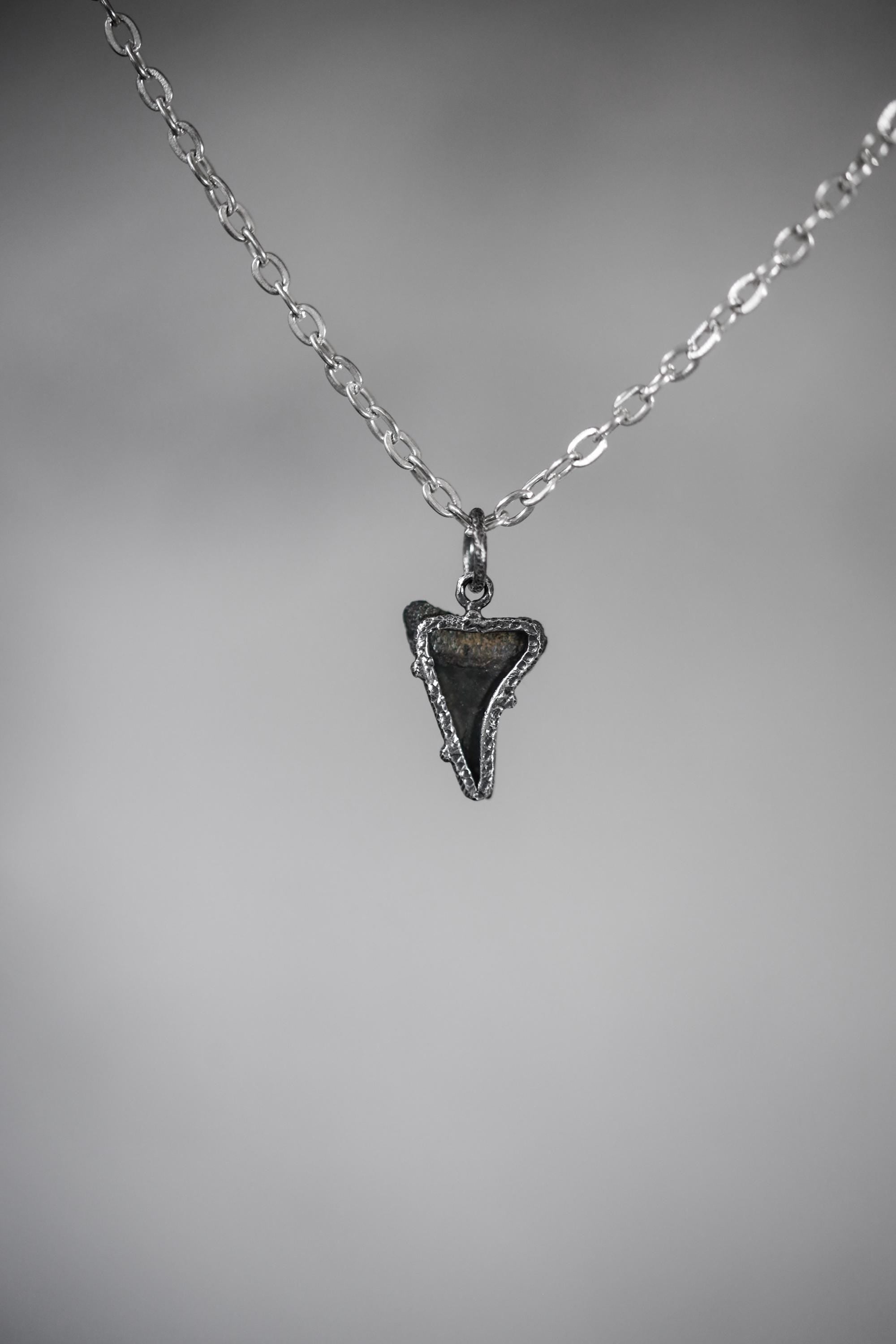 Megalodon Tooth Petrified Fossil Specimen Pendant, Sterling Silver Claw Setting, Oxidized Hammer Finish, Unique Fossil Jewelry Gift