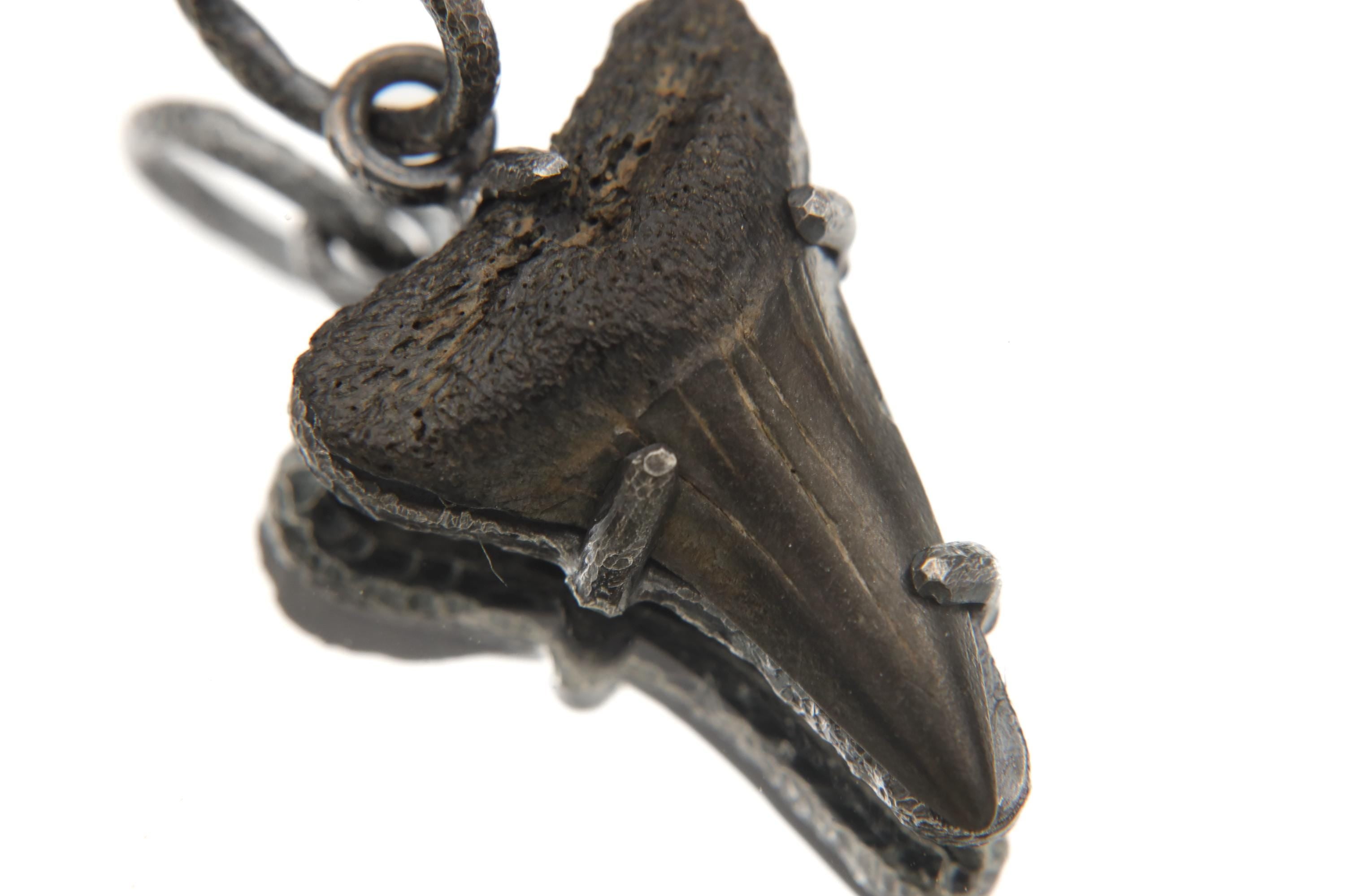 Megalodon Tooth Fossil Pendant, Oxidized Sterling Silver Claw Setting