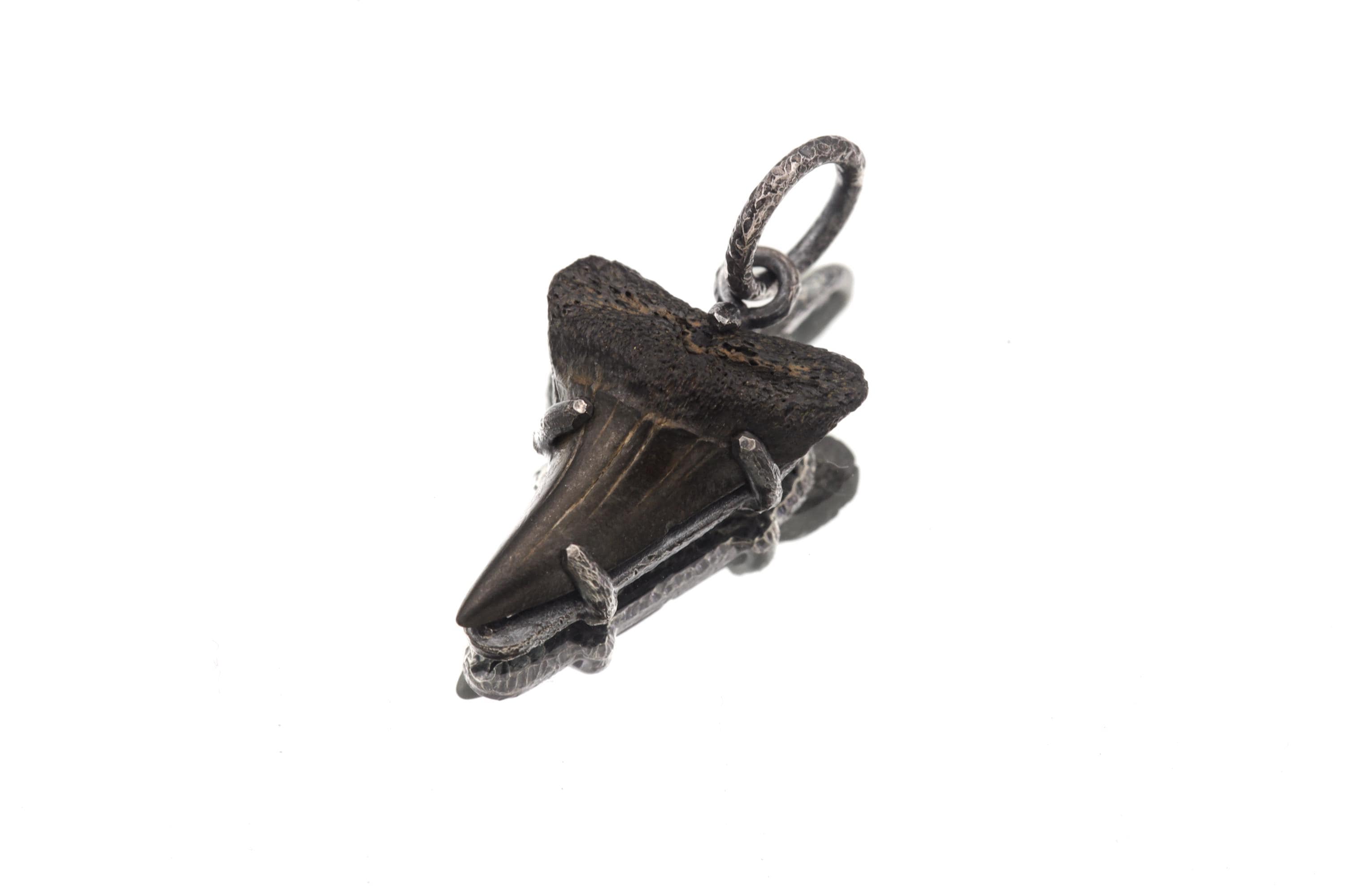Megalodon Tooth Petrified Fossil Specimen Pendant, Sterling Silver Claw Setting, Oxidized Hammer Finish, Unique Fossil Jewelry Gift