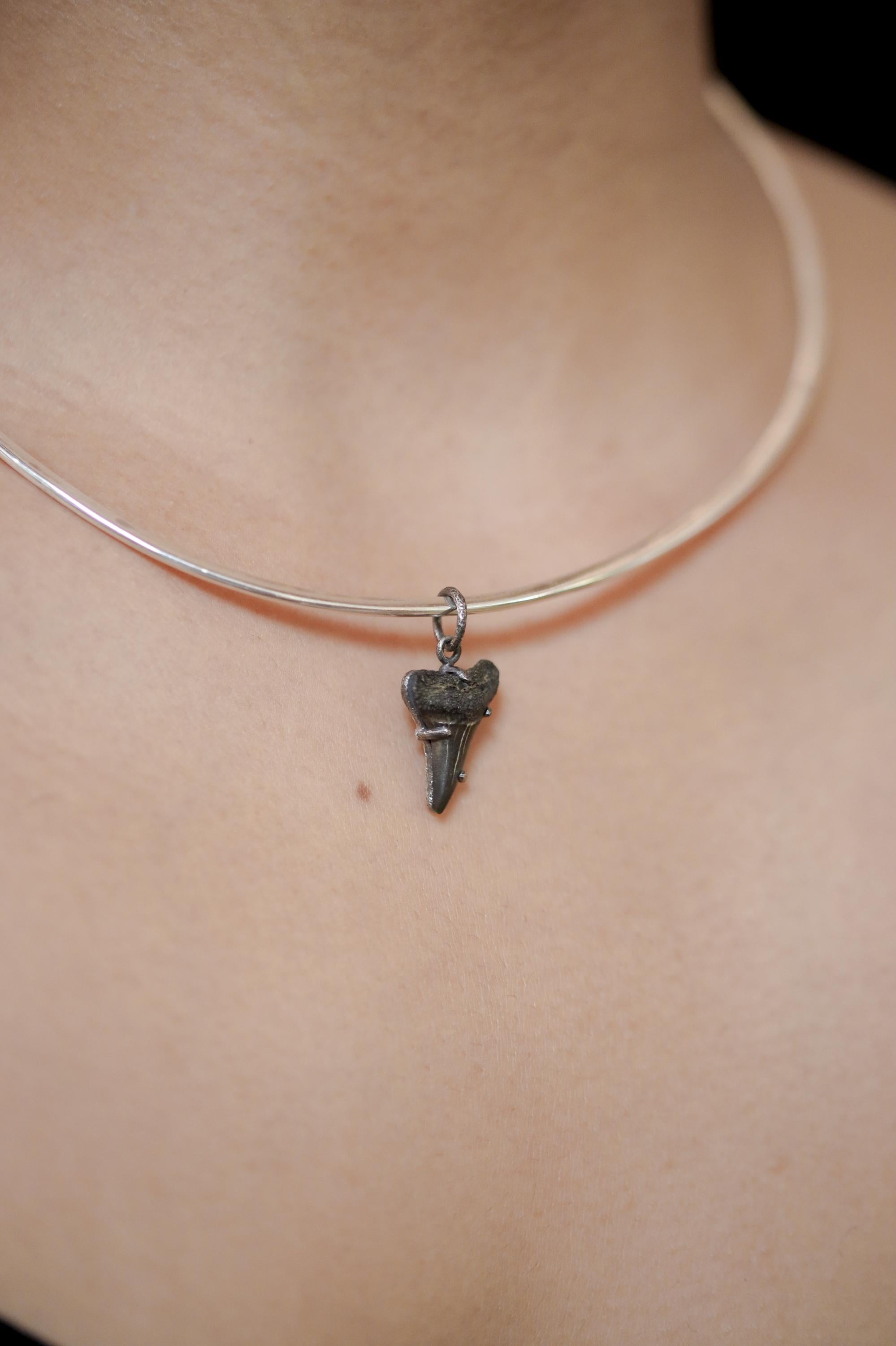 Megalodon Tooth Fossil Pendant, Oxidized Sterling Silver Claw Setting
