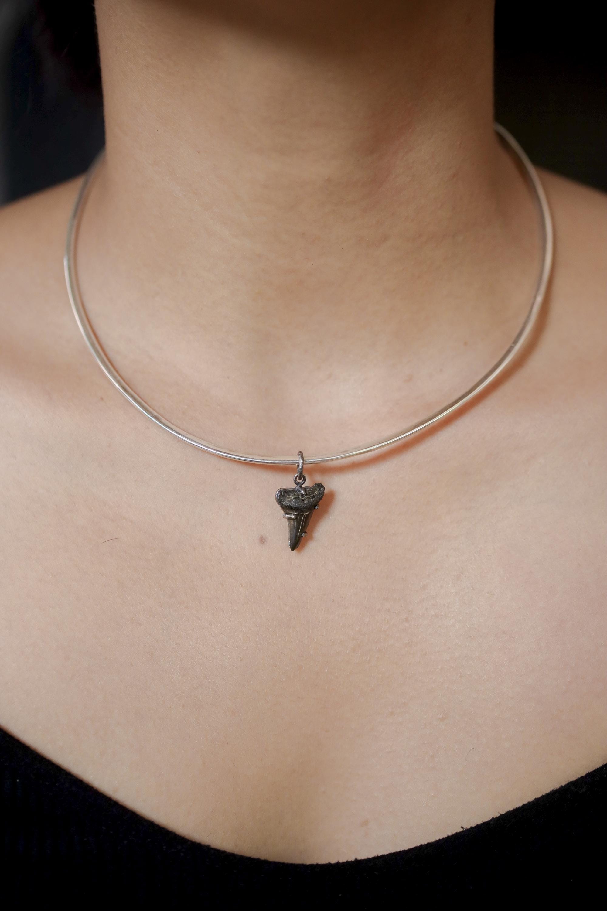 Megalodon Tooth Petrified Fossil Specimen Pendant, Sterling Silver Claw Setting, Oxidized Hammer Finish, Unique Fossil Jewelry Gift