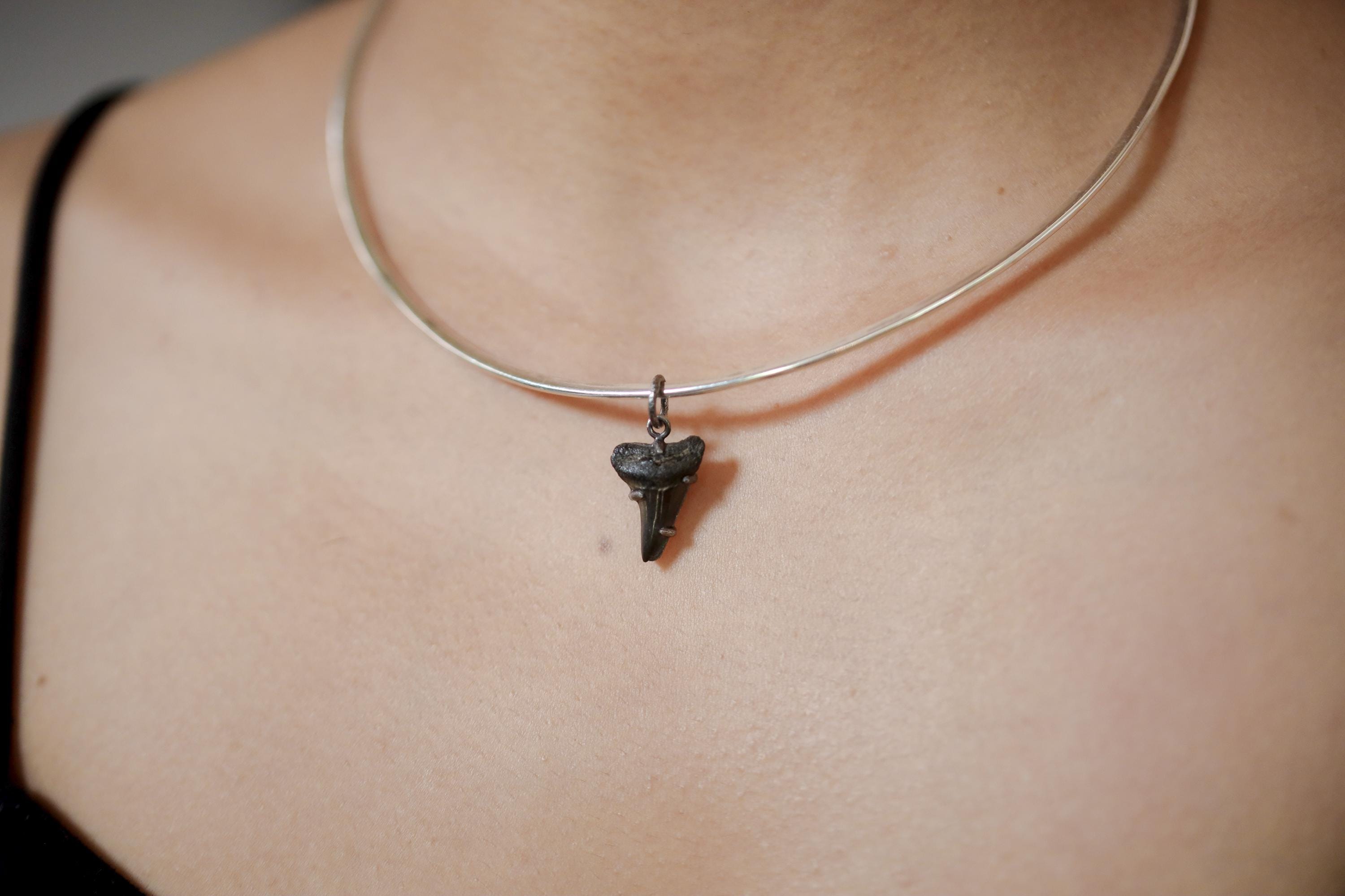 Megalodon Tooth Petrified Fossil Specimen Pendant, Sterling Silver Claw Setting, Oxidized Hammer Finish, Unique Fossil Jewelry Gift