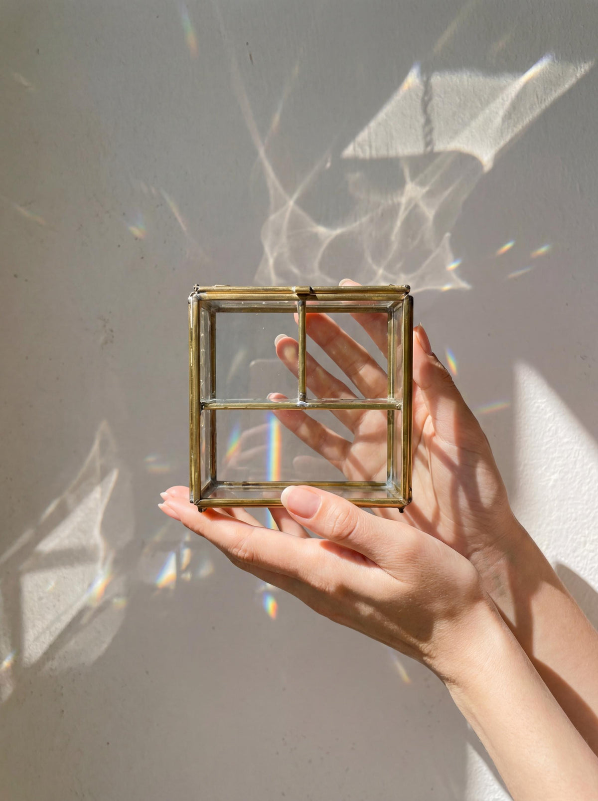 Large rectangular glass and brass display box held in sunlight with clear panels and warm brass frame.