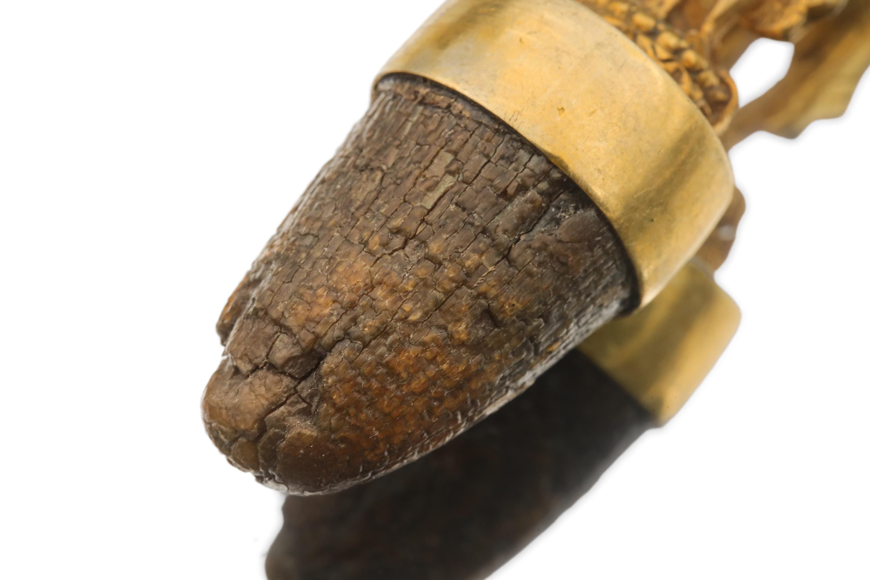 Gold Plated Shiva Talisman Pendant: Cow Horn Spiritual Jewelry