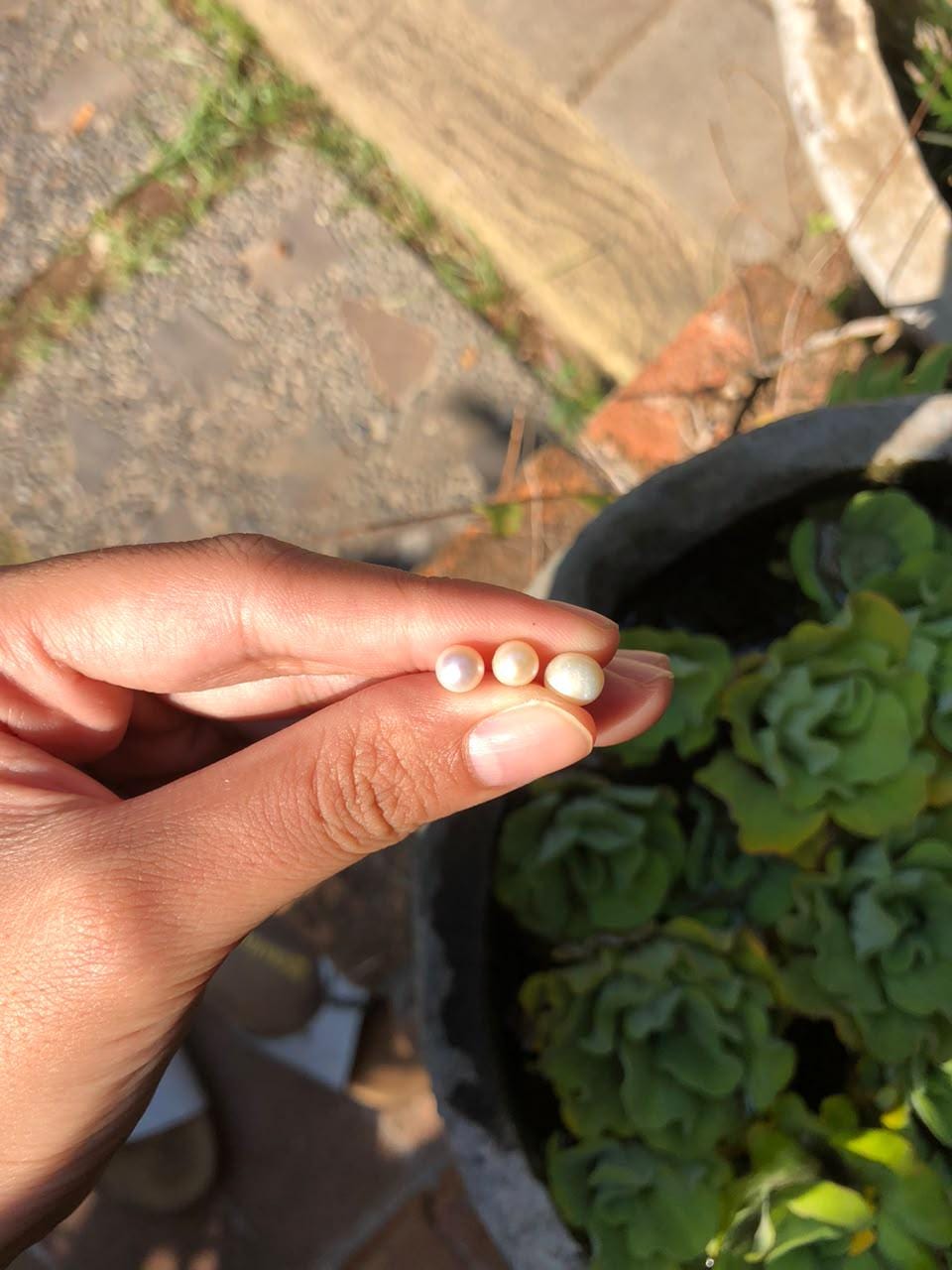 Custom Order pearl ring Meo